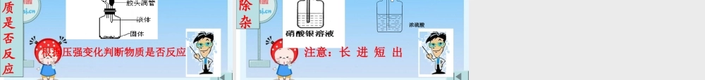 九年级化学第一轮总复习 化学实验专题课件 鲁教版 课件