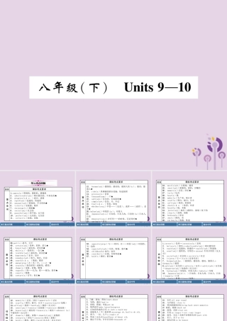 中考英语总复习 第一篇 教材知识梳理篇 八下 Units 9 10(精讲)课件