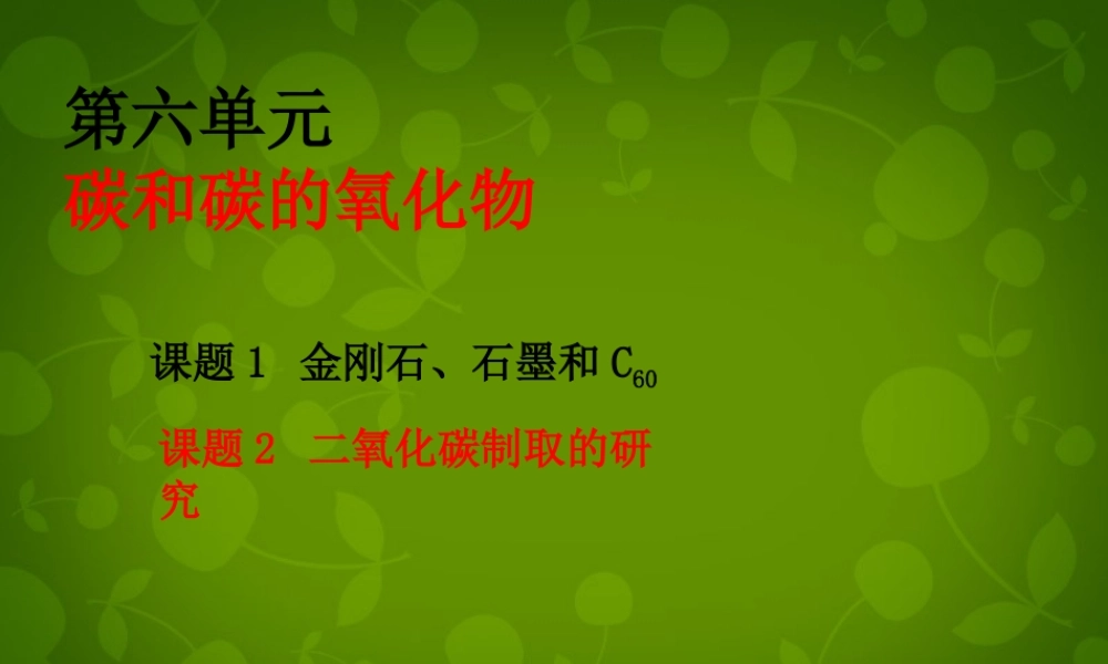 九年级化学上册 第六单元 课题2 二氧化碳制取的研究课件3 (新版)新人教版 课件