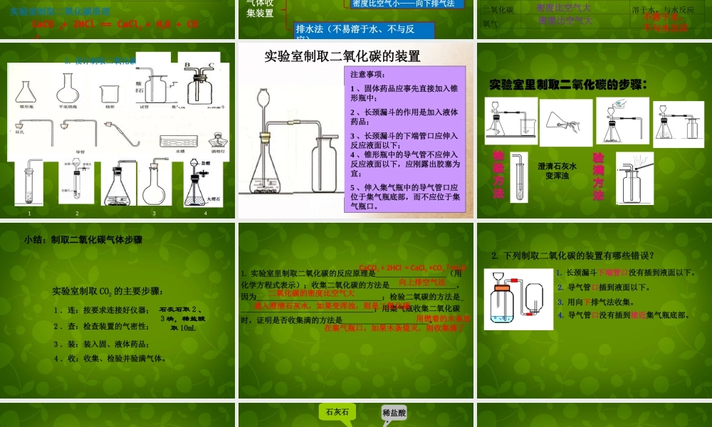 九年级化学上册 第六单元 课题2 二氧化碳制取的研究课件3 (新版)新人教版 课件