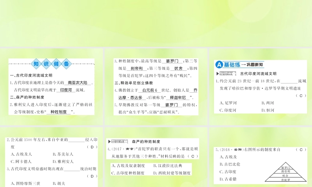 九年级历史上册 第1单元 古代亚非文明 第3课 古代印度习题课件 新人教版 课件