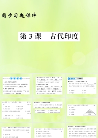 九年级历史上册 第1单元 古代亚非文明 第3课 古代印度习题课件 新人教版 课件