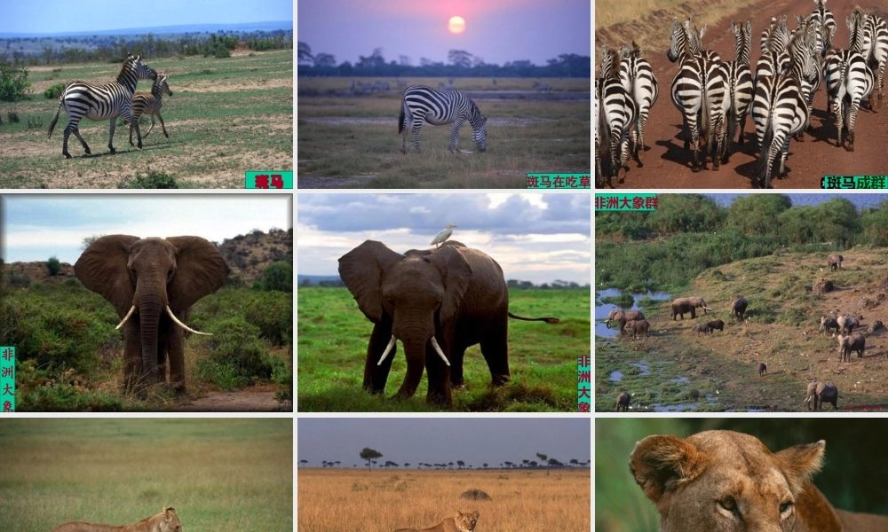 七年级地理下册 撒哈拉以南的非洲课件 人教新课标版 课件