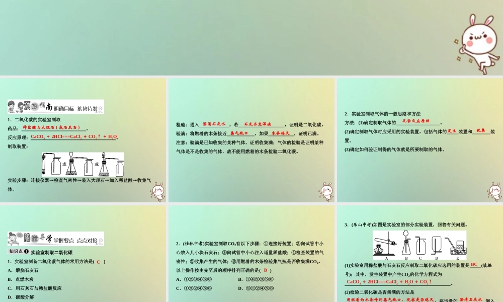 九年级化学上册 第6单元 碳和碳的氧化物 课题2 二氧化碳制取的研究作业课件 (新版)新人教版 课件