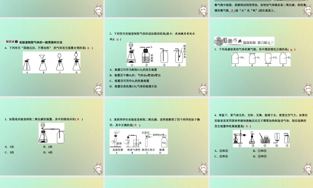 九年级化学上册 第6单元 碳和碳的氧化物 课题2 二氧化碳制取的研究作业课件 (新版)新人教版 课件
