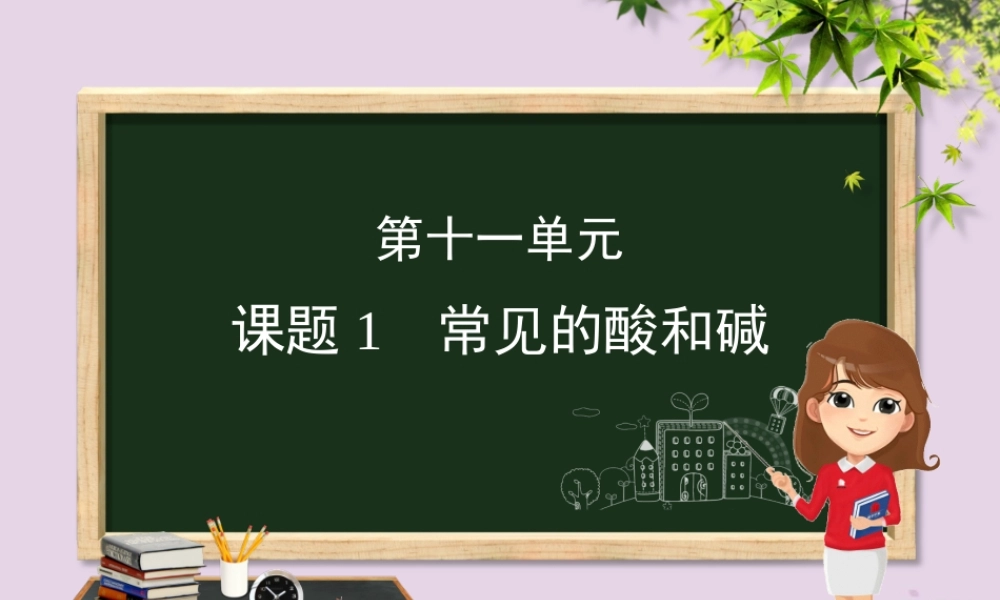 (河北专版)九年级化学 重点题目精讲 第十一单元 盐 化肥课件 (新版)新人教版 课件