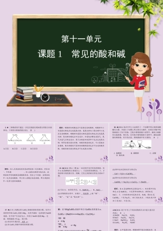 (河北专版)九年级化学 重点题目精讲 第十一单元 盐 化肥课件 (新版)新人教版 课件