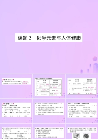 九年级化学下册 第12单元 化学与生活 课题2 化学元素与人体健康作业课件 (新版)新人教版 课件