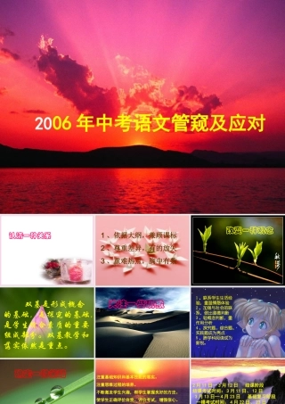 中考语文管窥及应对 试题