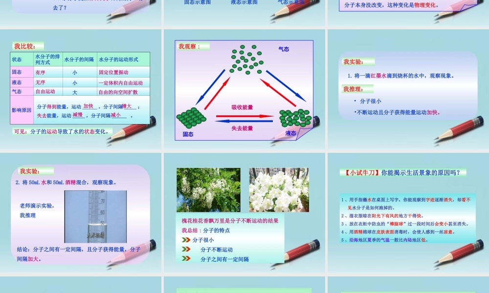 九年级化学上册 第一节 水分子的运动同步授课课件 鲁教版 课件