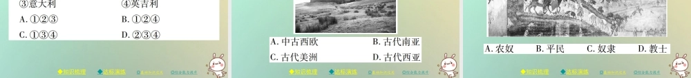 九年级历史上册 第三单元 中世纪的西欧与拜占庭 第七课 法兰克王国与西欧封建制度课件 川教版 课件