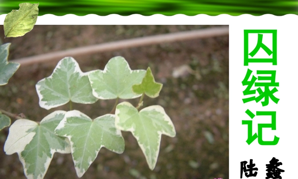 (囚緑记)课件3  (新人教版必修2) 课件