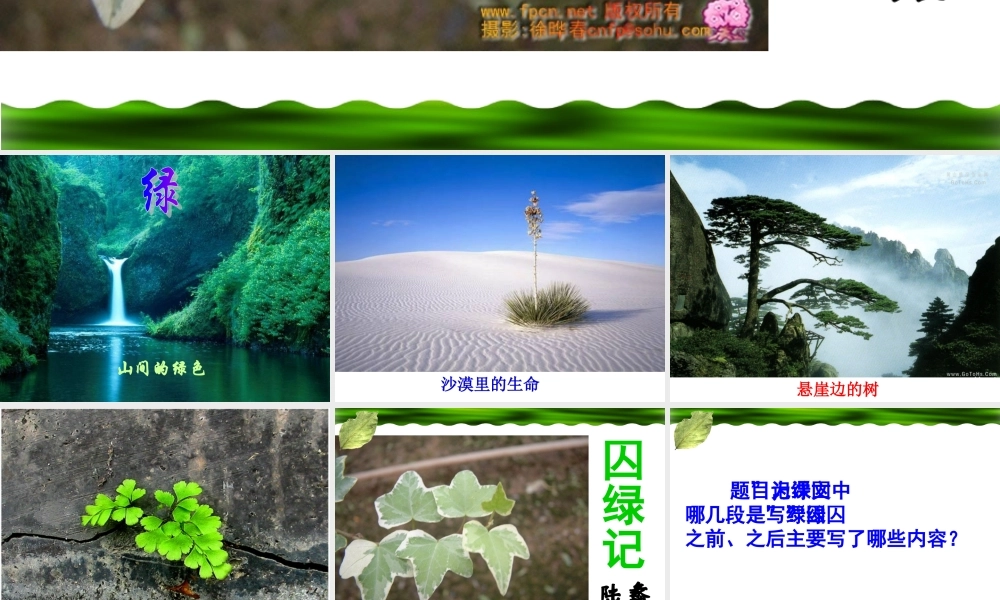 (囚緑记)课件3  (新人教版必修2) 课件