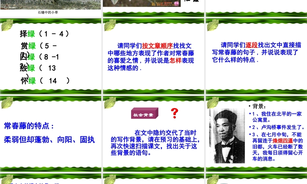 (囚緑记)课件3  (新人教版必修2) 课件