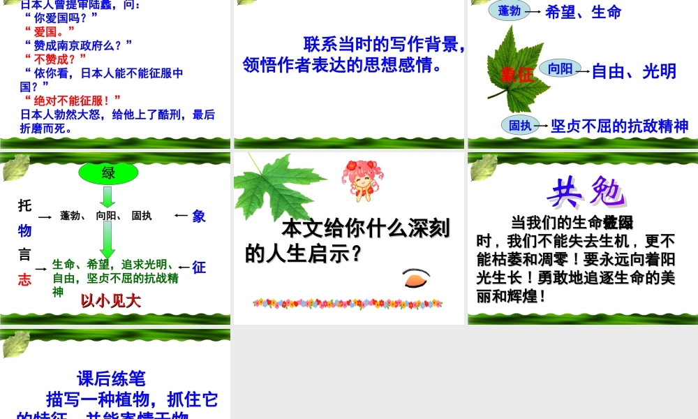 (囚緑记)课件3  (新人教版必修2) 课件