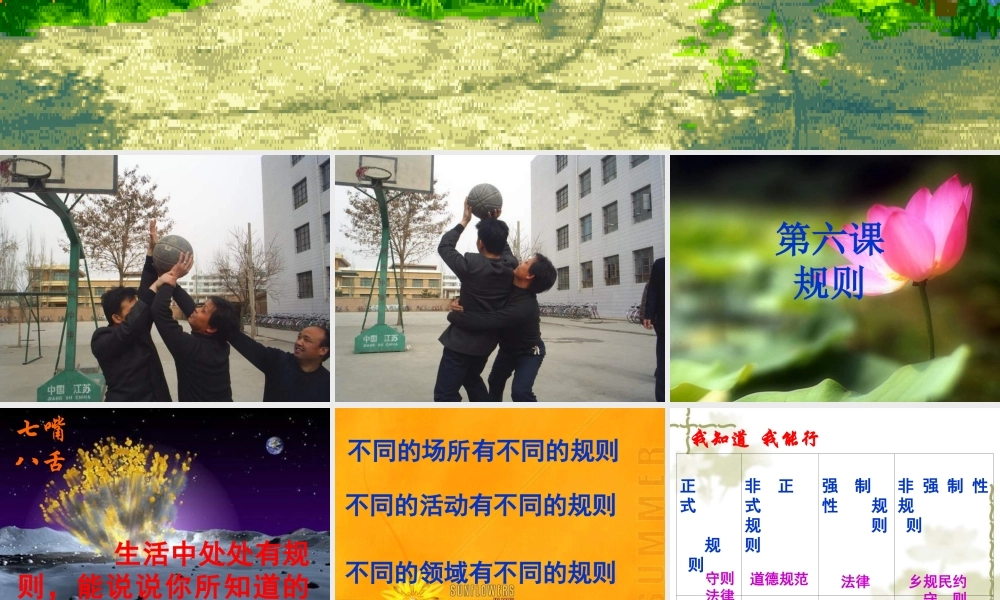 七年级政治 规则与秩序 课件