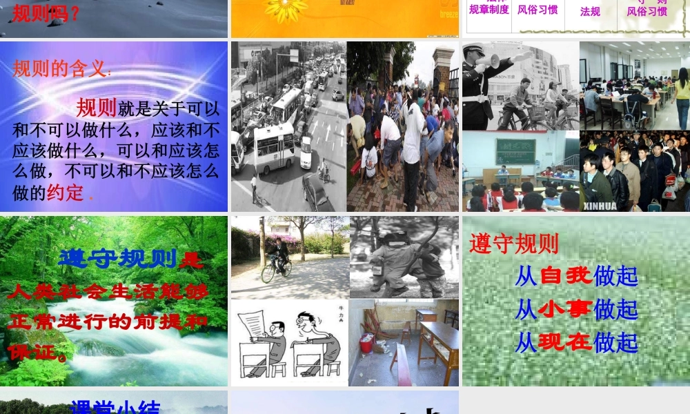 七年级政治 规则与秩序 课件