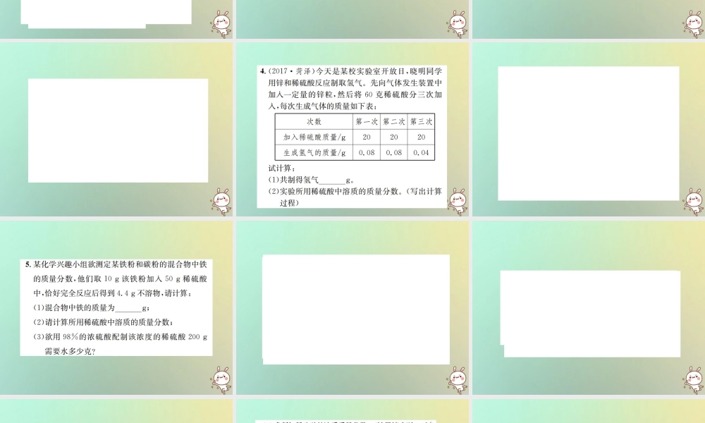 九年级化学下册 第九单元 溶液 课题3 溶液的浓度 第2课时 化学方程式与溶质质量分数的综合计算习题课件 (新版)新人教版 课件