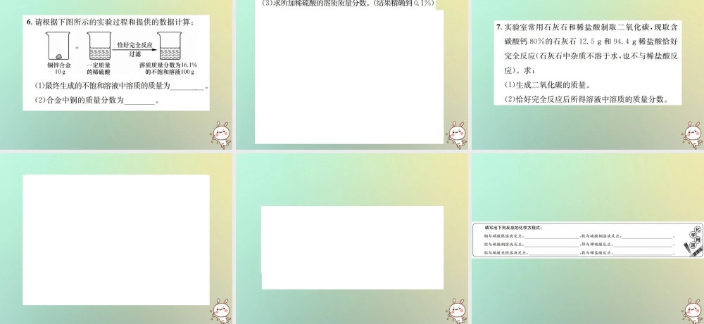 九年级化学下册 第九单元 溶液 课题3 溶液的浓度 第2课时 化学方程式与溶质质量分数的综合计算习题课件 (新版)新人教版 课件