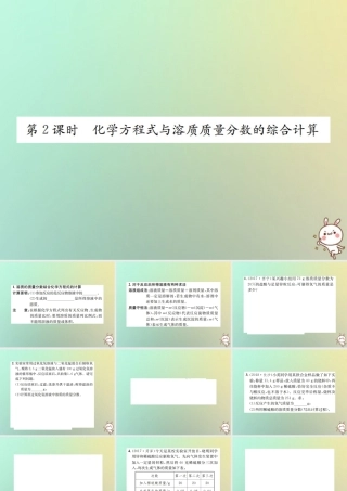 九年级化学下册 第九单元 溶液 课题3 溶液的浓度 第2课时 化学方程式与溶质质量分数的综合计算习题课件 (新版)新人教版 课件