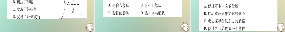 九年级历史上册 第3单元 近代早期的西欧 第13课 新航路的开辟课件 中华书局版 课件