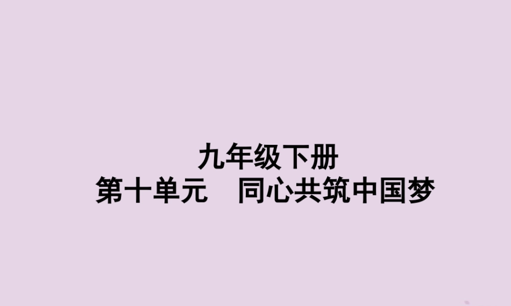 中考道德与法治总复习 九下 第十单元 同心共筑中国梦课件