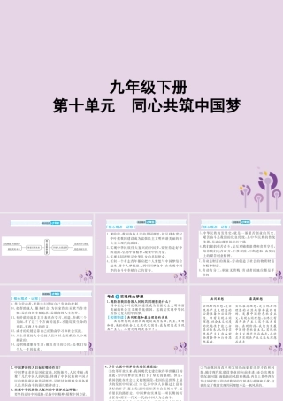 中考道德与法治总复习 九下 第十单元 同心共筑中国梦课件