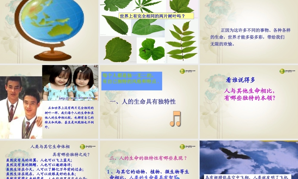 七年级政治上册 第三课第2框 人的生命的独特性课件 新人教版 课件