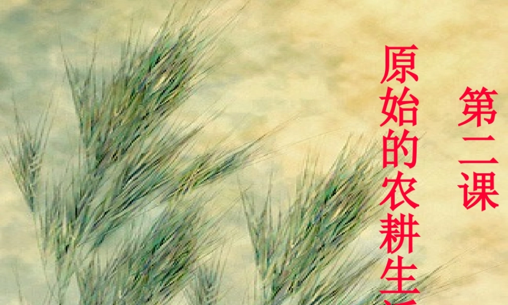 七年级历史第2课原始的农耕生活课件 新课标 人教版 课件