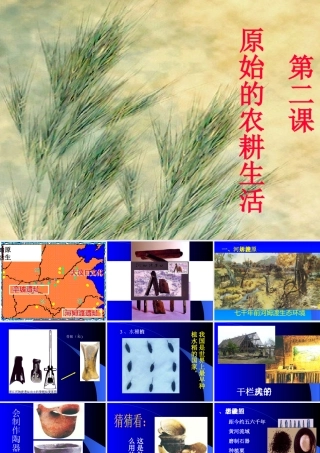 七年级历史第2课原始的农耕生活课件 新课标 人教版 课件