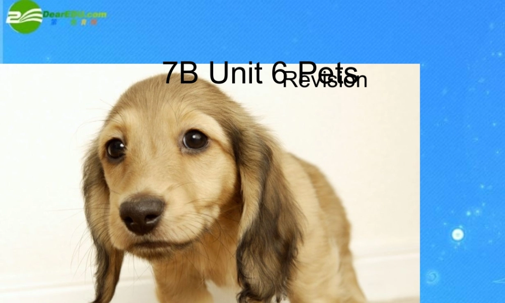 中考英语复习7B Unit6 Revision 课件 牛津版 课件
