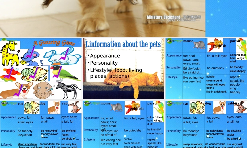 中考英语复习7B Unit6 Revision 课件 牛津版 课件