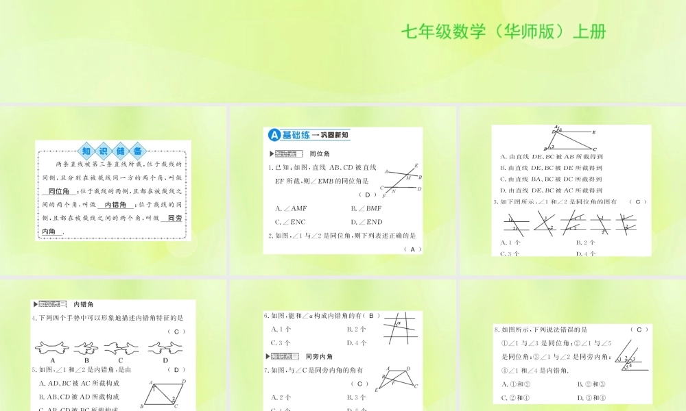 七年级数学上册 第5章 相交线与平行线 5.1 相交线 第3课时 同位角、内错角、同旁内角习题课件 (新版)华东师大版 课件