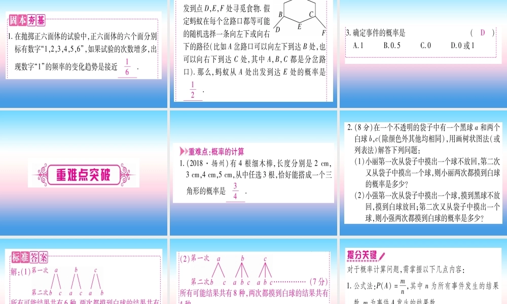 (甘肃专用)中考数学 第一轮 考点系统复习 第8章 统计与概率 第2节 概率课件