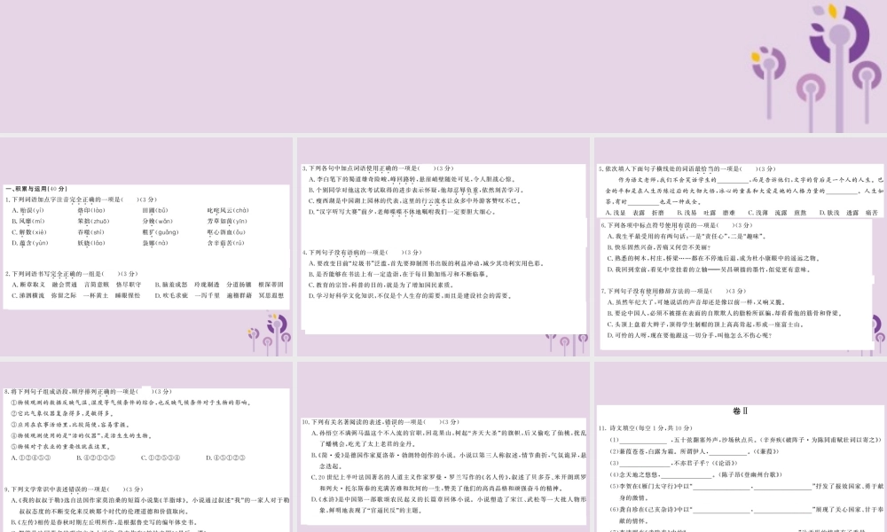 (贵州专版)中考语文复习 第二轮 综合模拟测试卷(二)课件