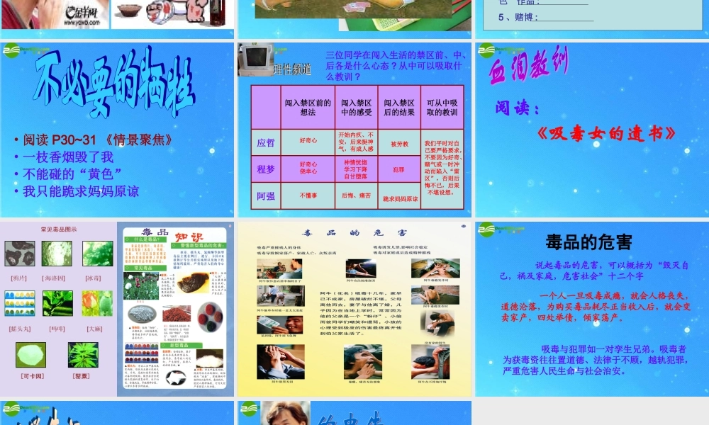 七年级政治下册 第三课(生活中的 雷区 )课件 人民版 课件