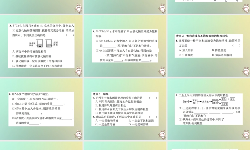 九年级化学下册 第九单元 溶液 课题2 溶解度 第1课时 饱和溶液与不饱和溶液习题课件 (新版)新人教版 课件