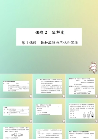 九年级化学下册 第九单元 溶液 课题2 溶解度 第1课时 饱和溶液与不饱和溶液习题课件 (新版)新人教版 课件