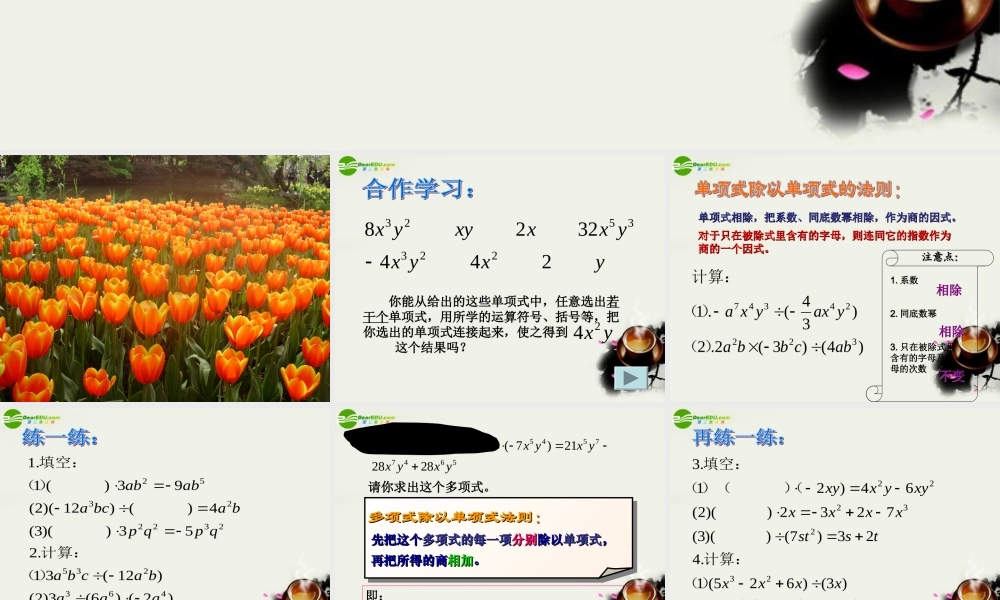 七年级数学 第五章第七节(整式的除法)课件 浙教版 课件