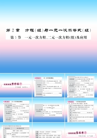 (课标版通用)中考数学一轮复习 第2章 方程组与一元一次不等式组 第5节习题课件