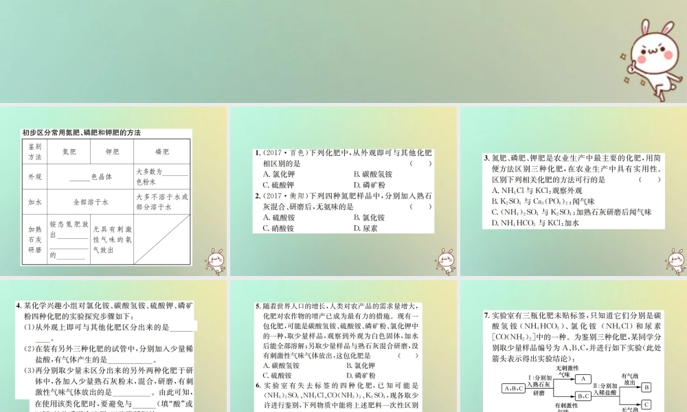 九年级化学下册 第十一单元 盐 化肥 课题2 化学肥料 第2课时 化肥的简易鉴别课件 (新版)新人教版 课件