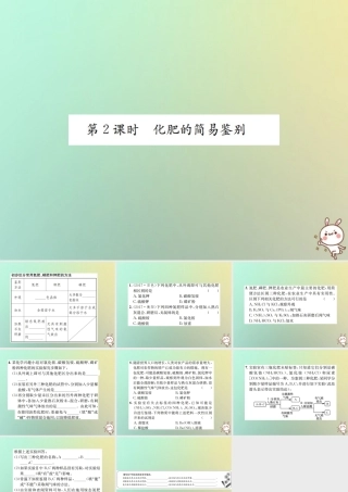 九年级化学下册 第十一单元 盐 化肥 课题2 化学肥料 第2课时 化肥的简易鉴别课件 (新版)新人教版 课件