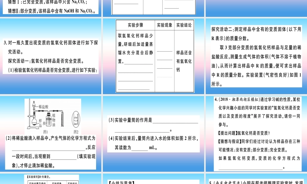 九年级化学下册 专题四 碱变质的探究(实验)习题课件 新人教版 课件