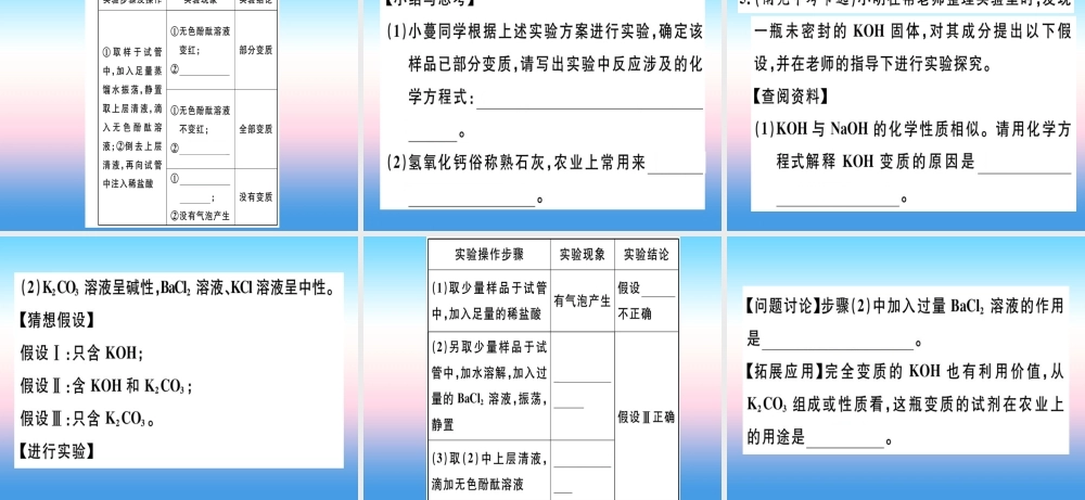 九年级化学下册 专题四 碱变质的探究(实验)习题课件 新人教版 课件
