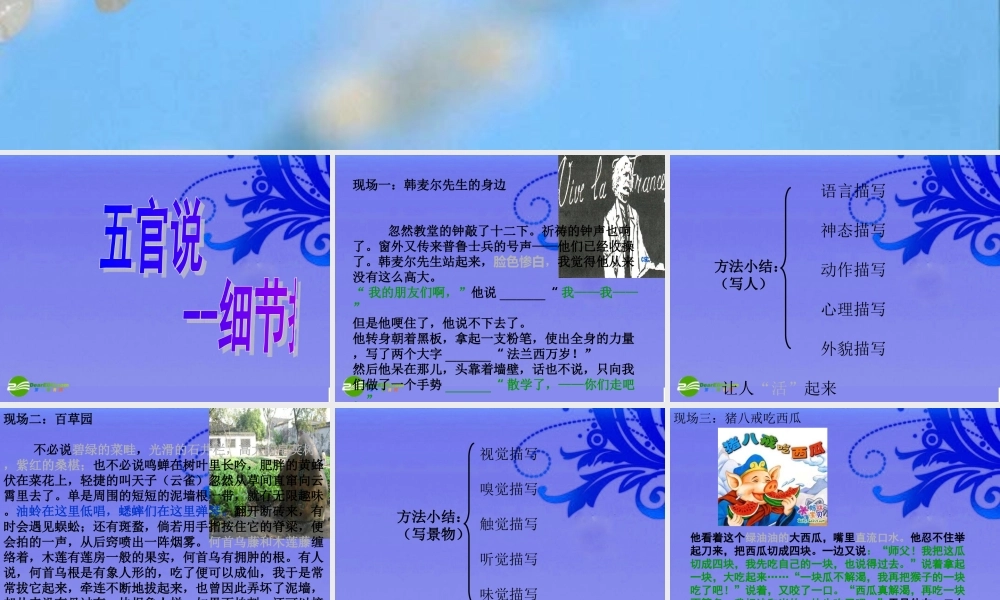 中考语文作文训练指导 五官说--细节描写 课件