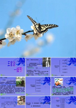 中考语文作文训练指导 五官说--细节描写 课件