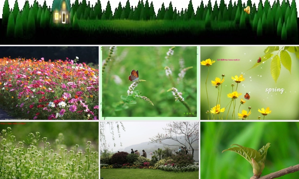 七年级政治下册 第四课国生活变化大搜索课件 人民版 课件