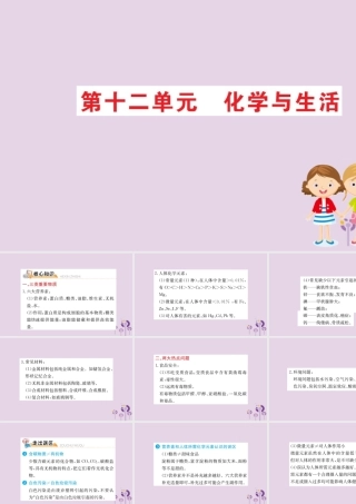 九年级化学下册 期末抢分必胜课 第十二单元 化学与生活课件 (新版)新人教版 课件