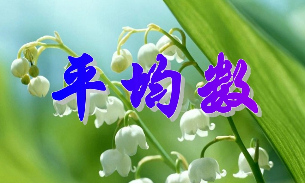 七年级数学 6.3.1 平均数 课件