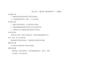 1.6《果实和种子》教案
